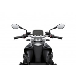 R 1250 R Roadster R 1250 R Roadster